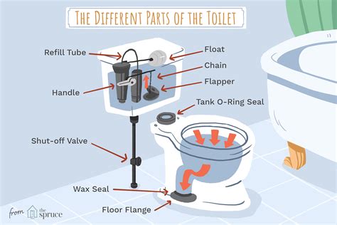 toilet meaning in english.